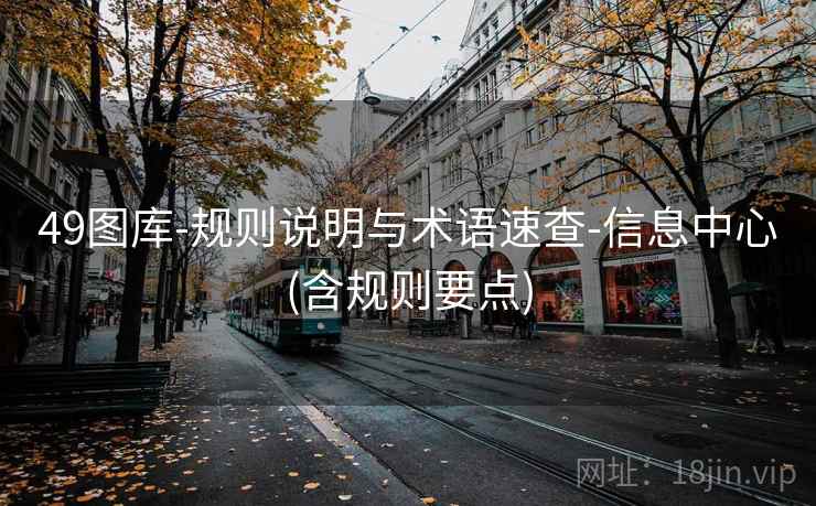 49图库-规则说明与术语速查-信息中心(含规则要点)